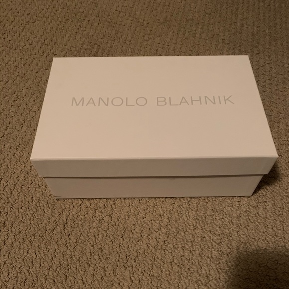 Manolo Blahnik Hangisi Flat - Picture 6 of 8